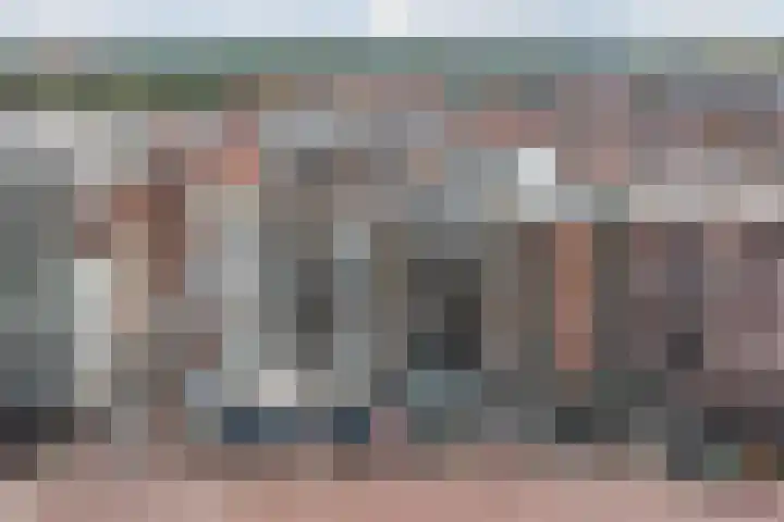 Boulevard 4 D Egmond aan Zee thumbnail 56