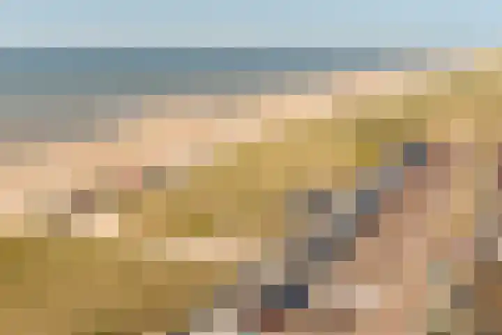 Boulevard 45 Egmond aan Zee thumbnail 65