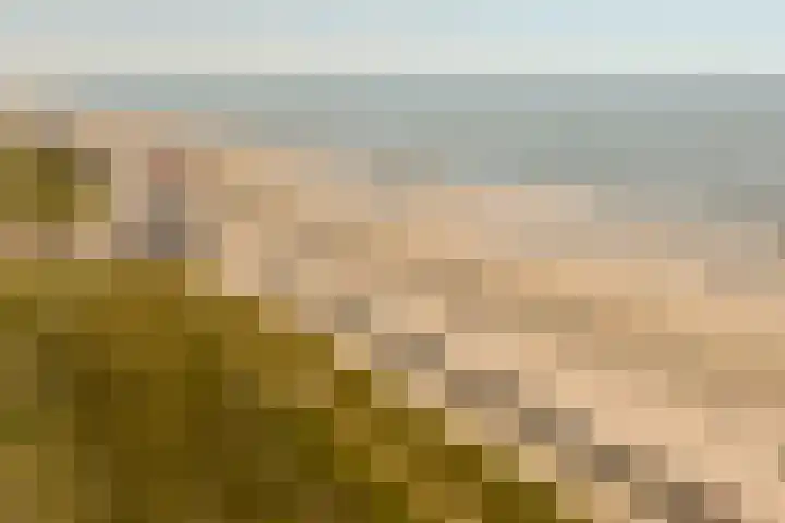 Boulevard 45 Egmond aan Zee thumbnail 66
