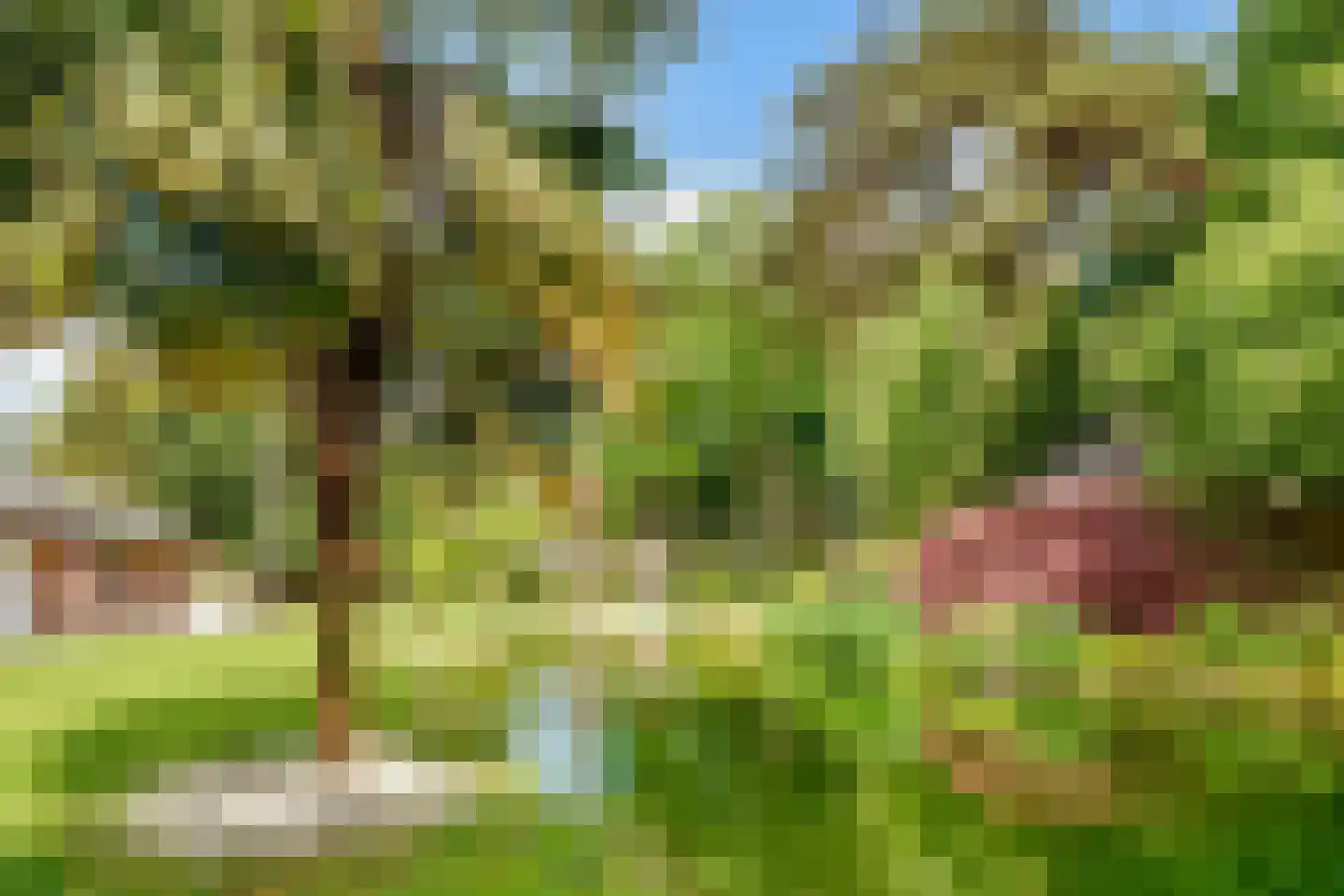 Boulevard 46 Zeist thumbnail 10
