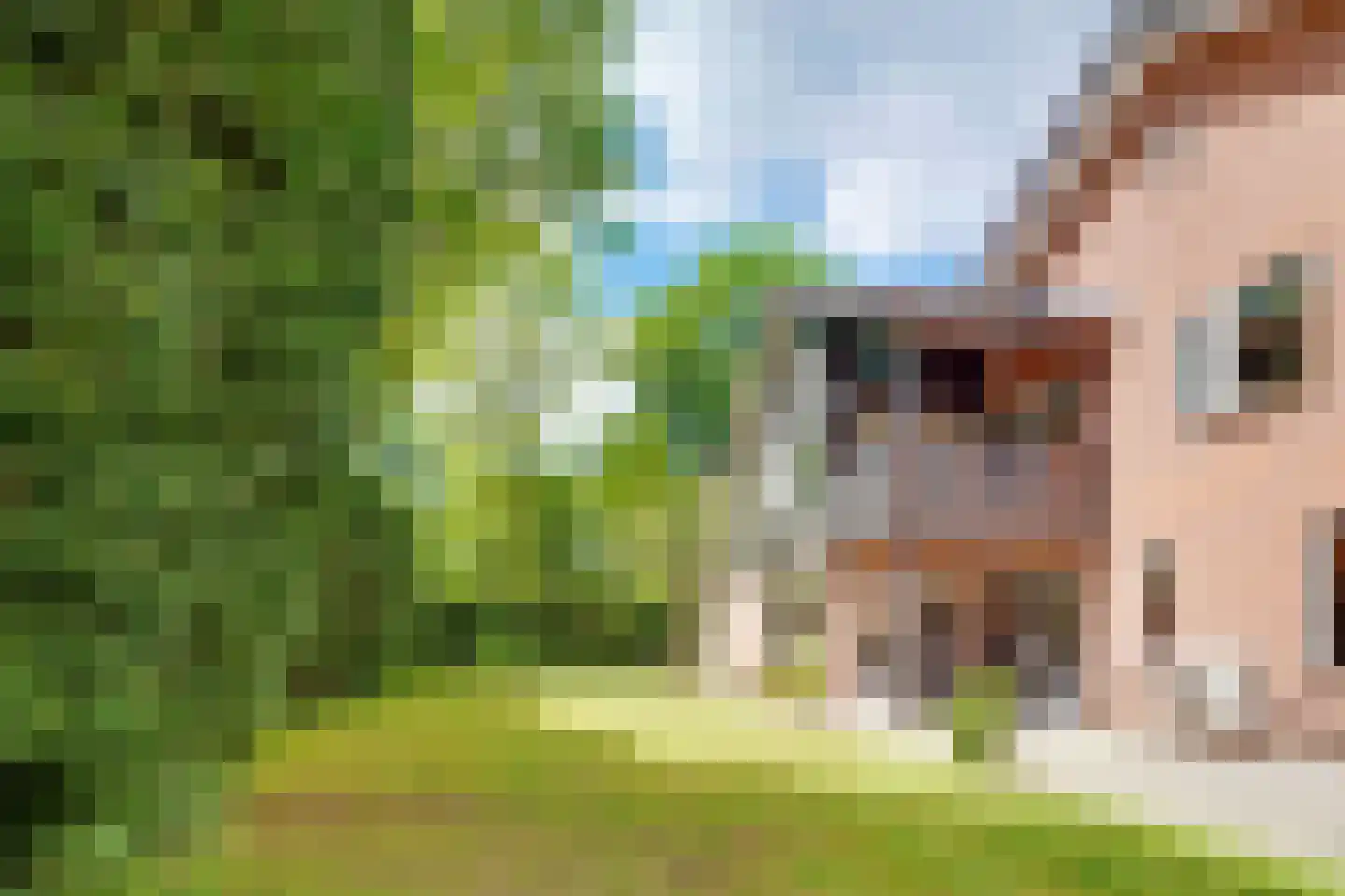 Boulevard 46 Zeist thumbnail 13