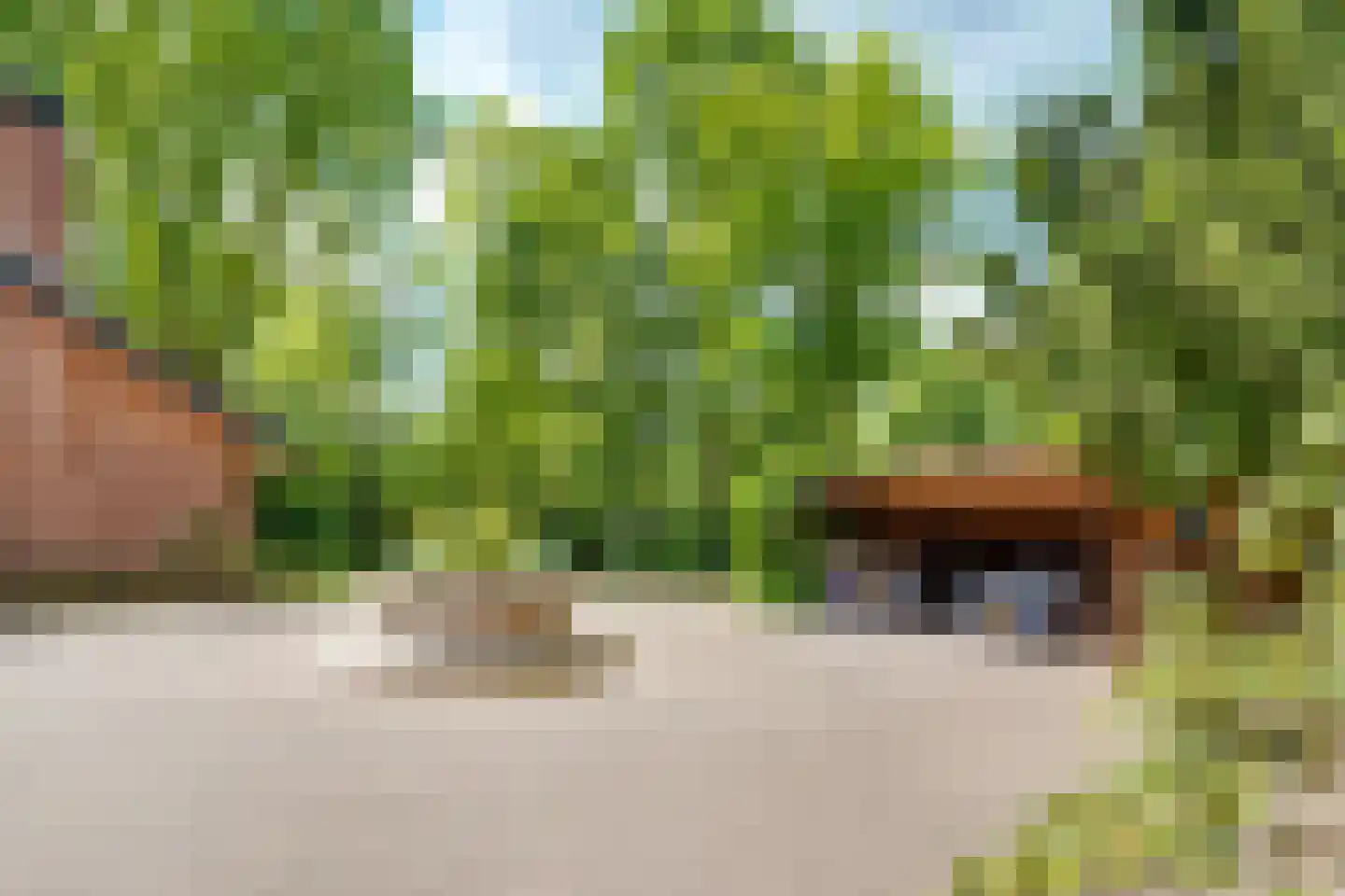 Boulevard 46 Zeist thumbnail 4