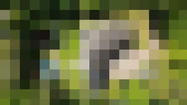 Boulevard 46 Zeist thumbnail 49