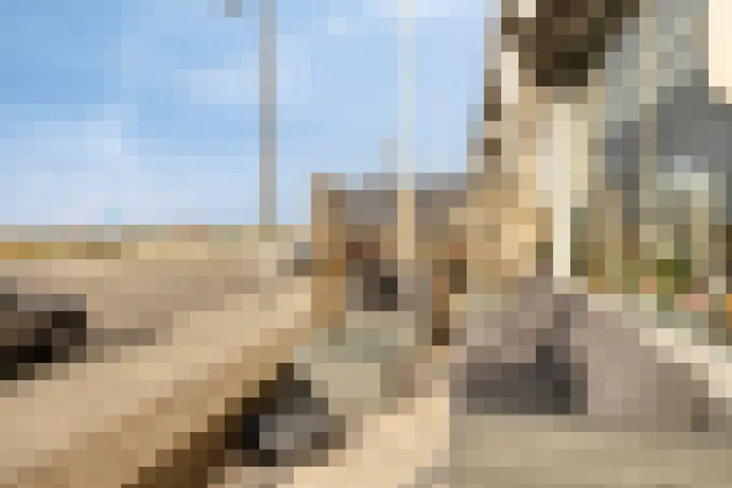 Boulevard 48 Katwijk thumbnail 10