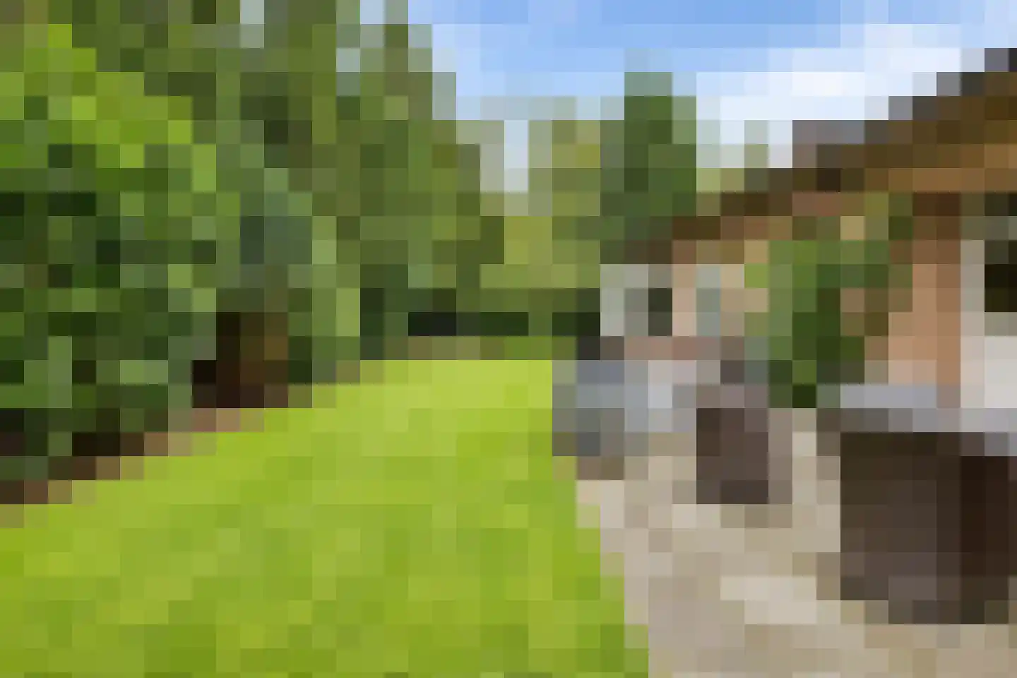 Boulevard 48 Zeist thumbnail 37