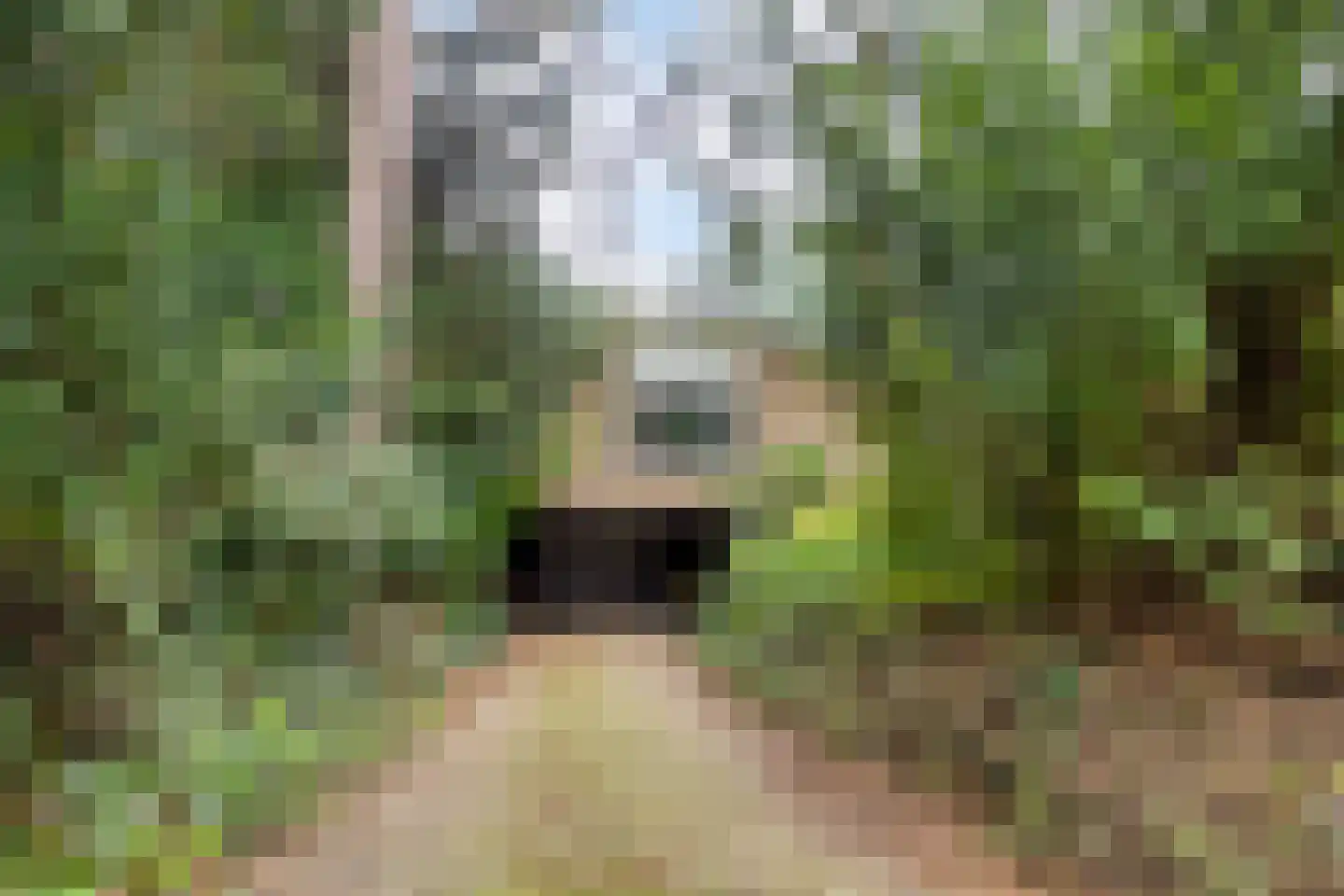 Boulevard 48 Zeist thumbnail 38