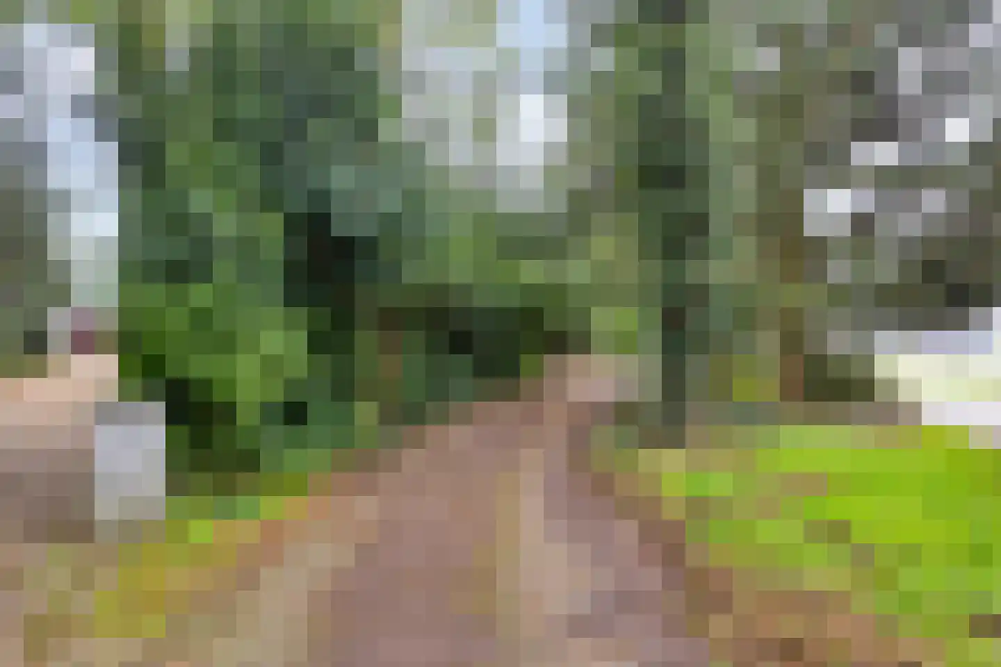 Boulevard 48 Zeist thumbnail 41