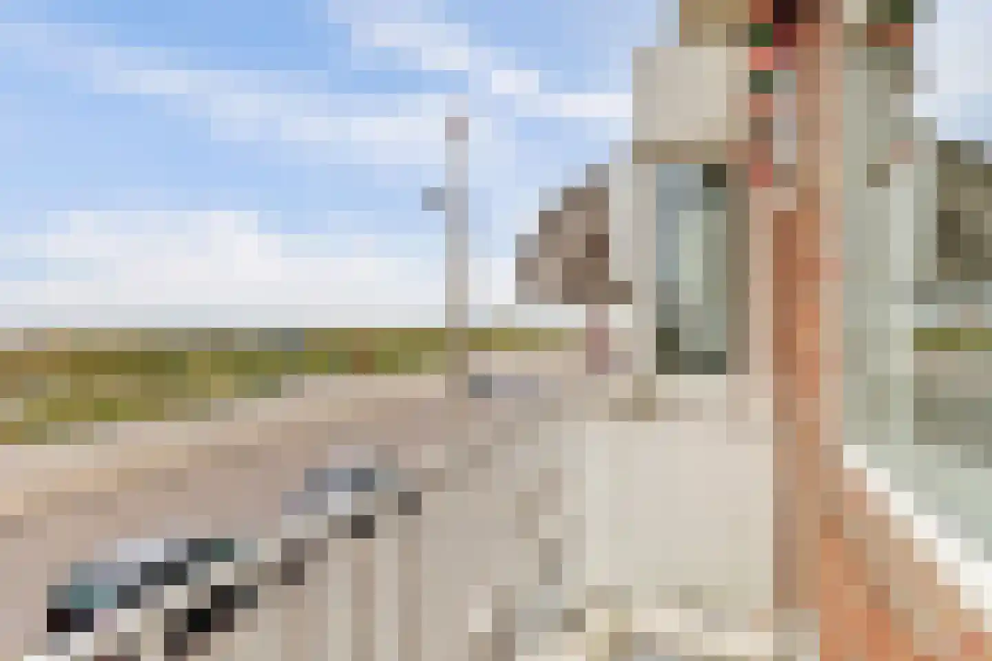Boulevard 49 Katwijk thumbnail 37