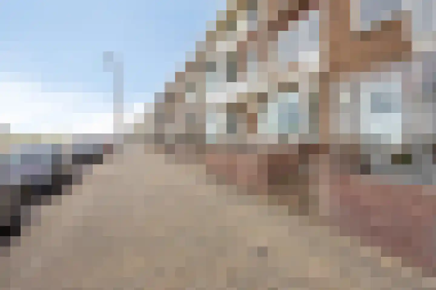 Boulevard 49 Katwijk thumbnail 5