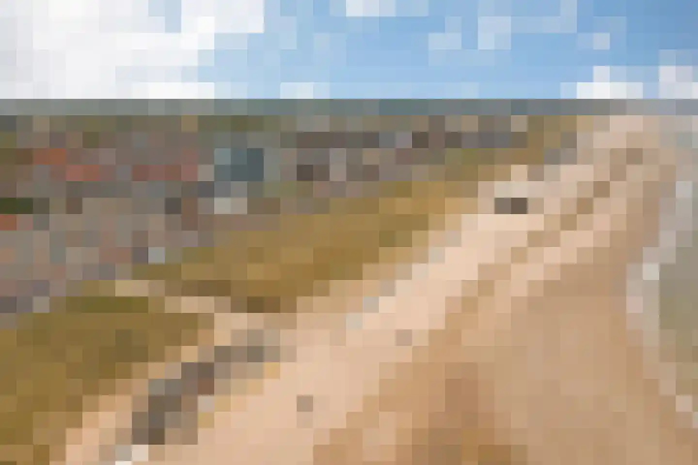 Boulevard 53 Egmond aan Zee thumbnail 61