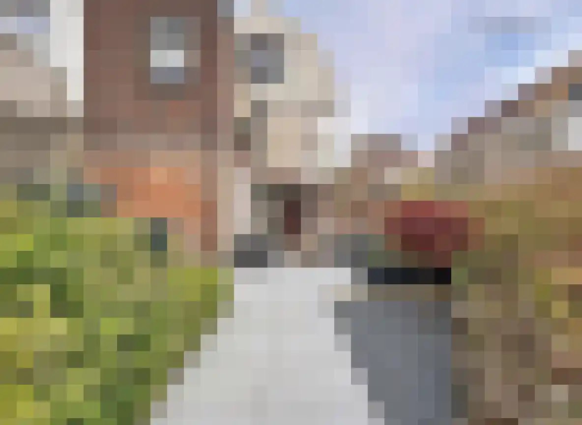 Boulevard 63 Breskens thumbnail 24