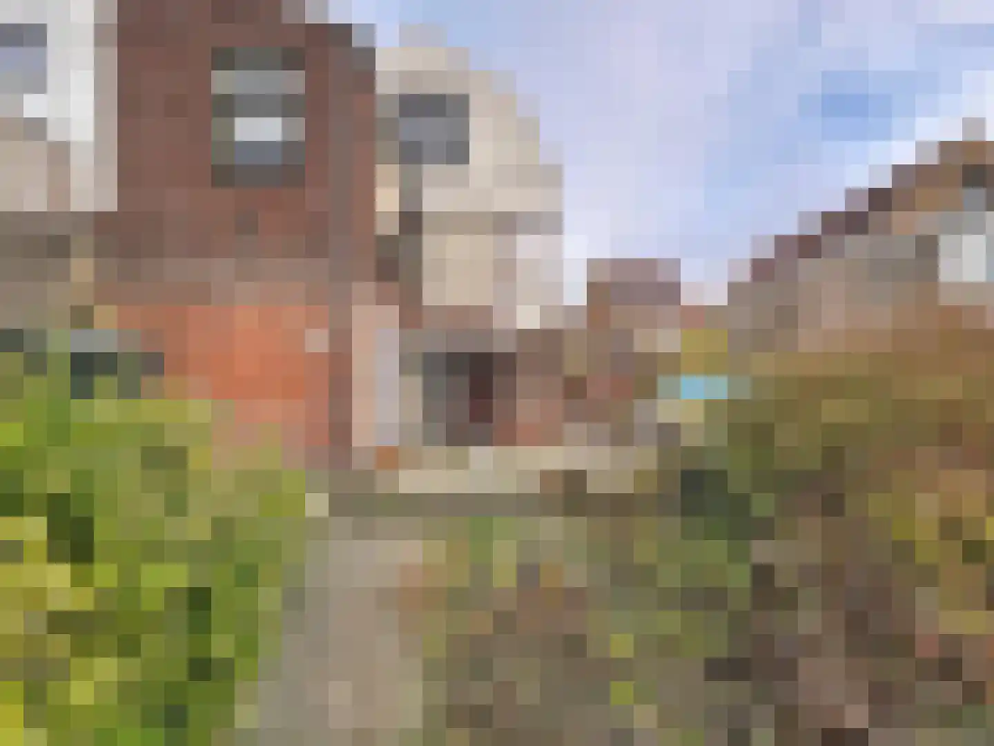 Boulevard 63 Breskens thumbnail 25