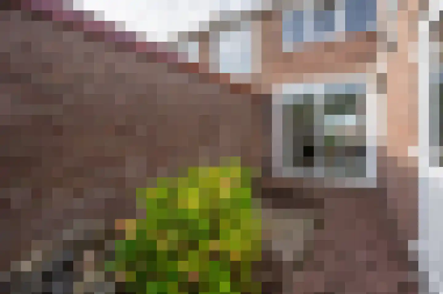 Boulevard 64 Breskens thumbnail 33