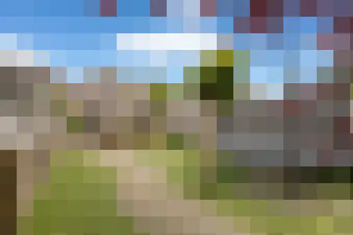 Boulevard Antverpia 15 Roosendaal thumbnail 34
