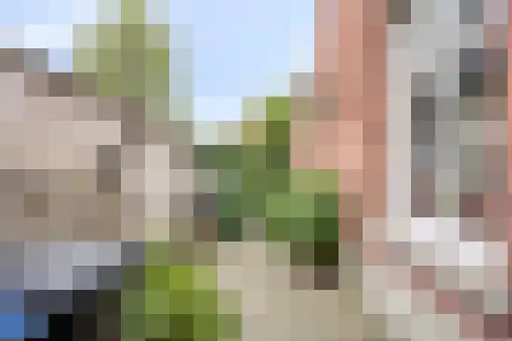 Boulevard Antverpia 58 Roosendaal thumbnail 21