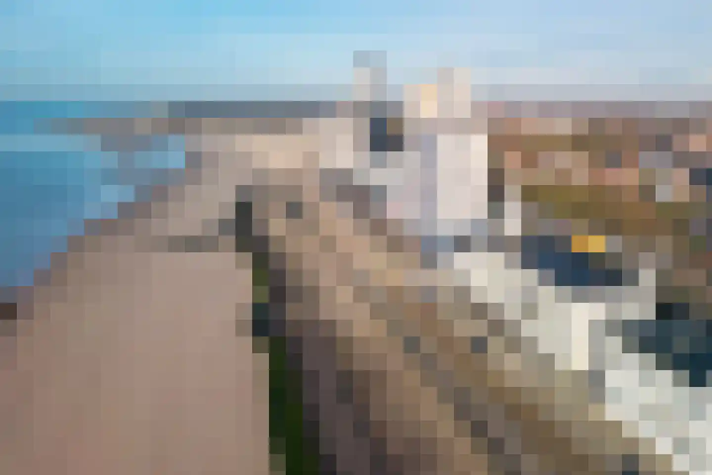 Boulevard Bankert 168 Vlissingen thumbnail 37