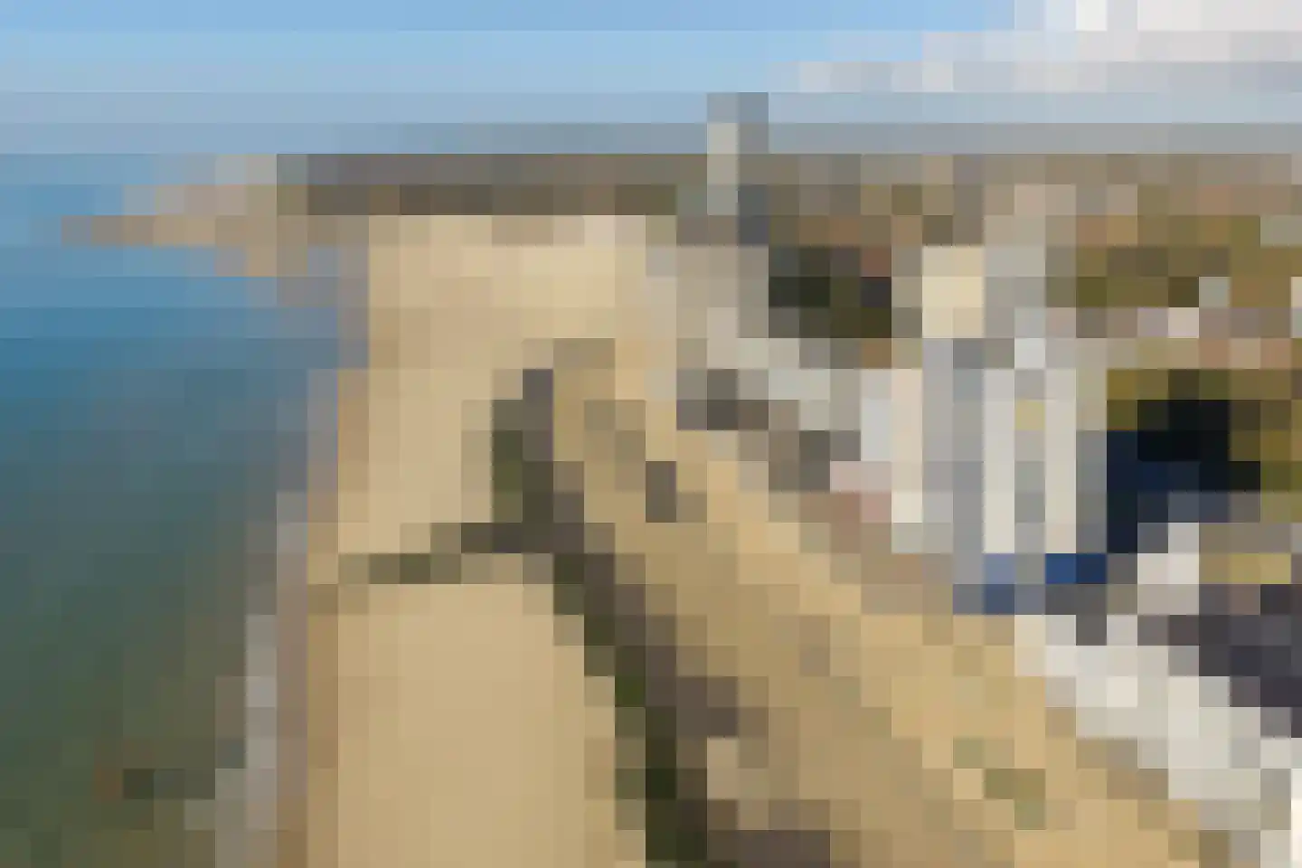 Boulevard Bankert 214 Vlissingen thumbnail 36