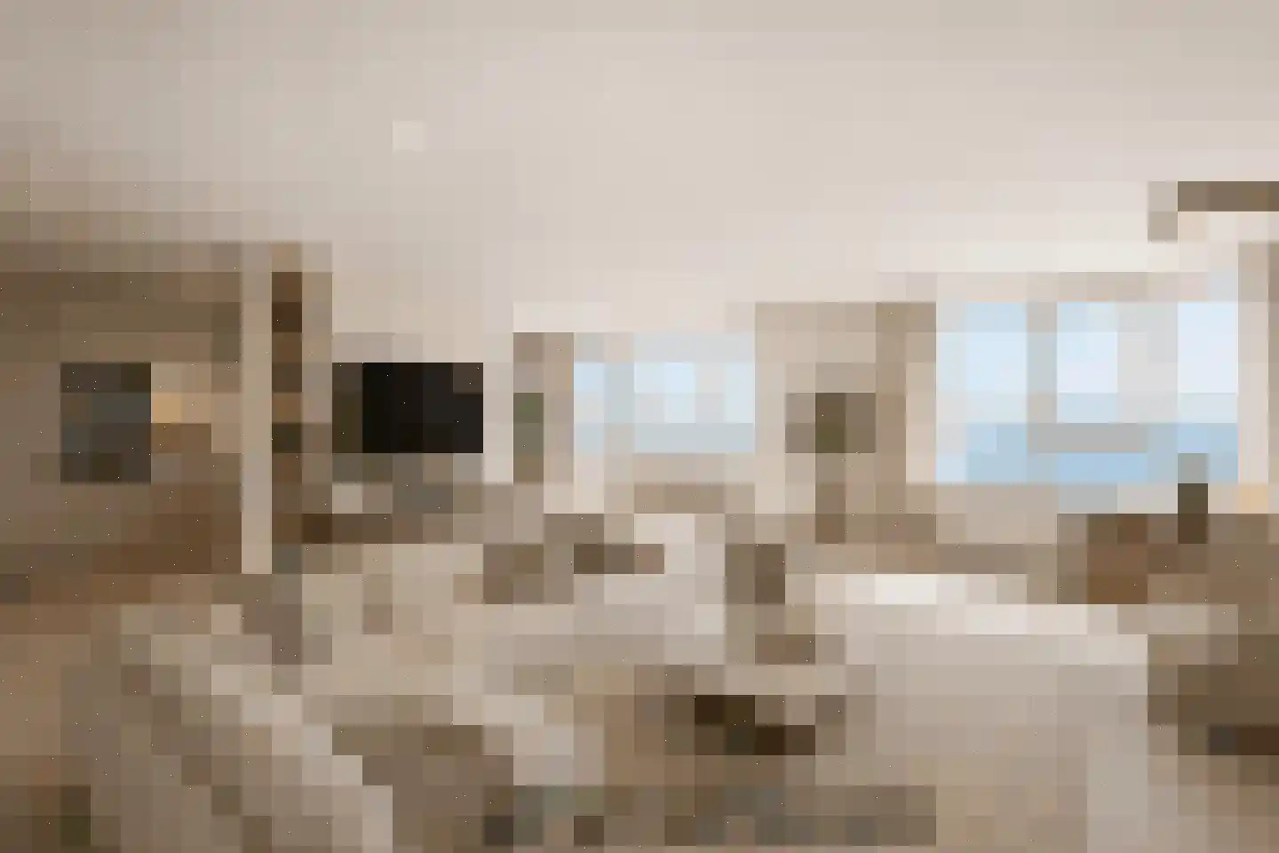 Boulevard Bankert 322 Vlissingen thumbnail 23