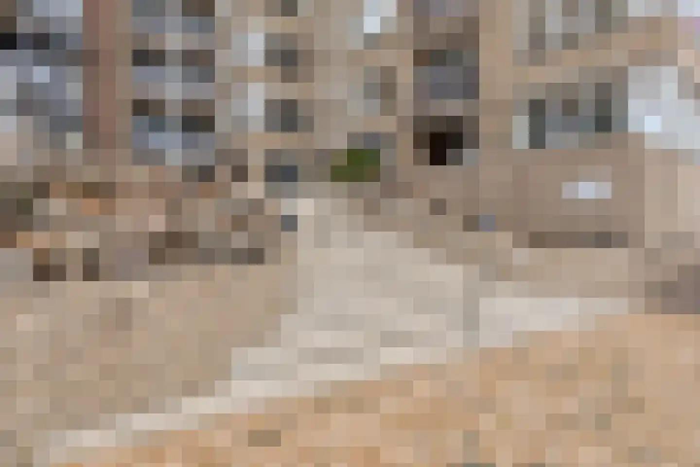 Boulevard Bankert 402 Vlissingen thumbnail 43