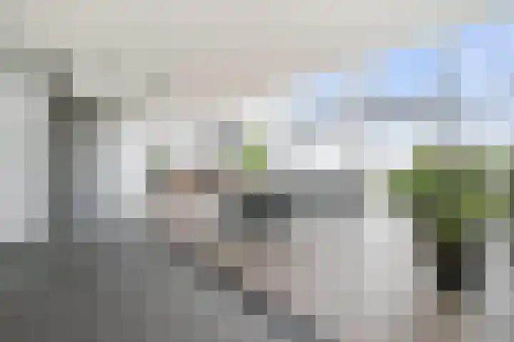 Boulevard Bankert 856 Vlissingen thumbnail 10
