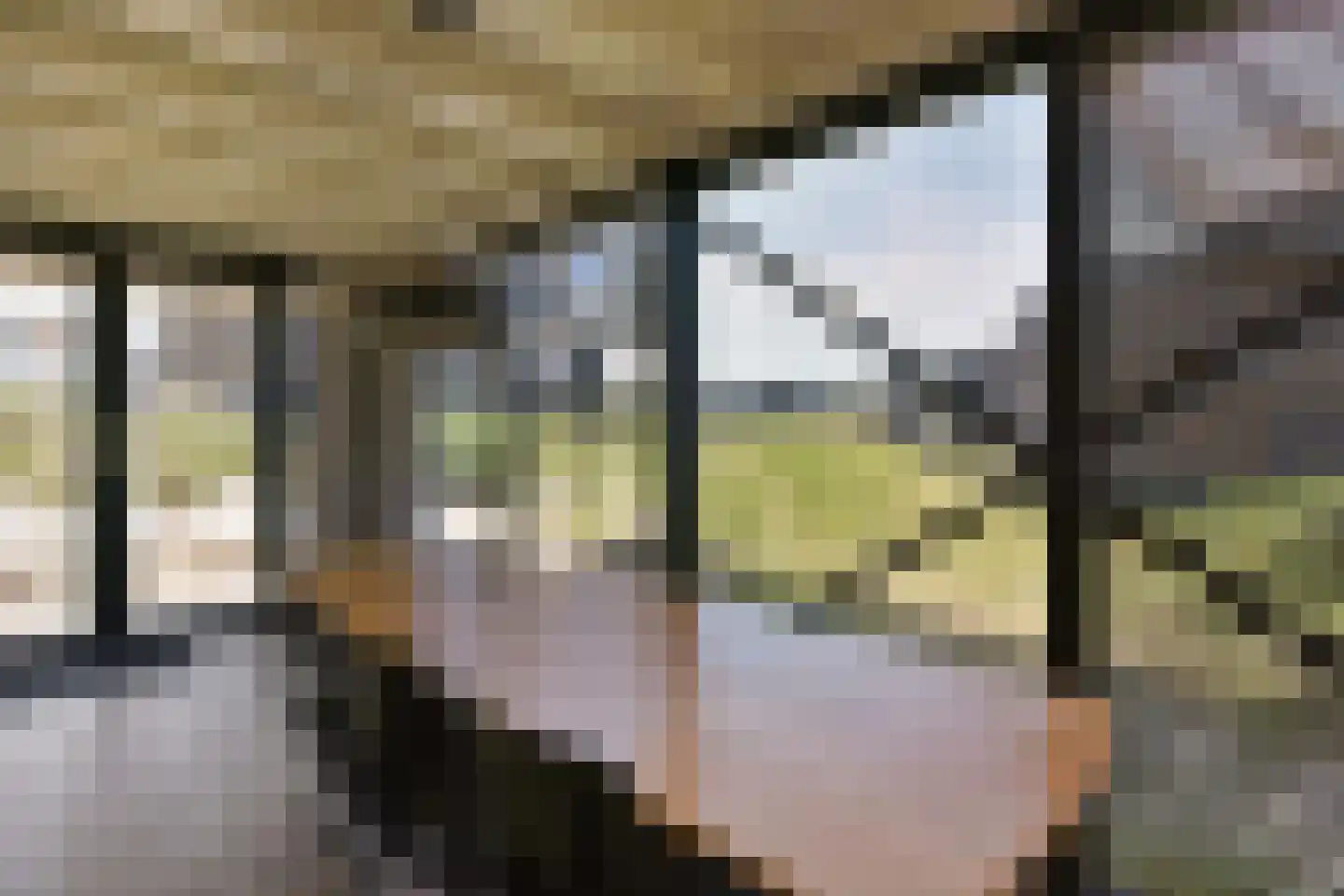 Boulevard Barnaart 30 51 Zandvoort thumbnail 11