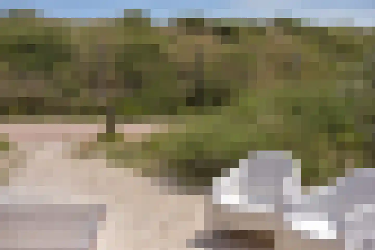 Boulevard Barnaart 30 51 Zandvoort thumbnail 29