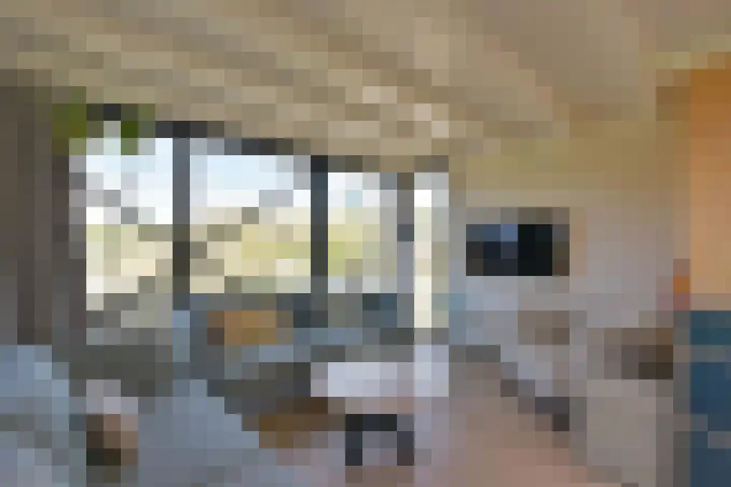Boulevard Barnaart 30 51 Zandvoort thumbnail 5