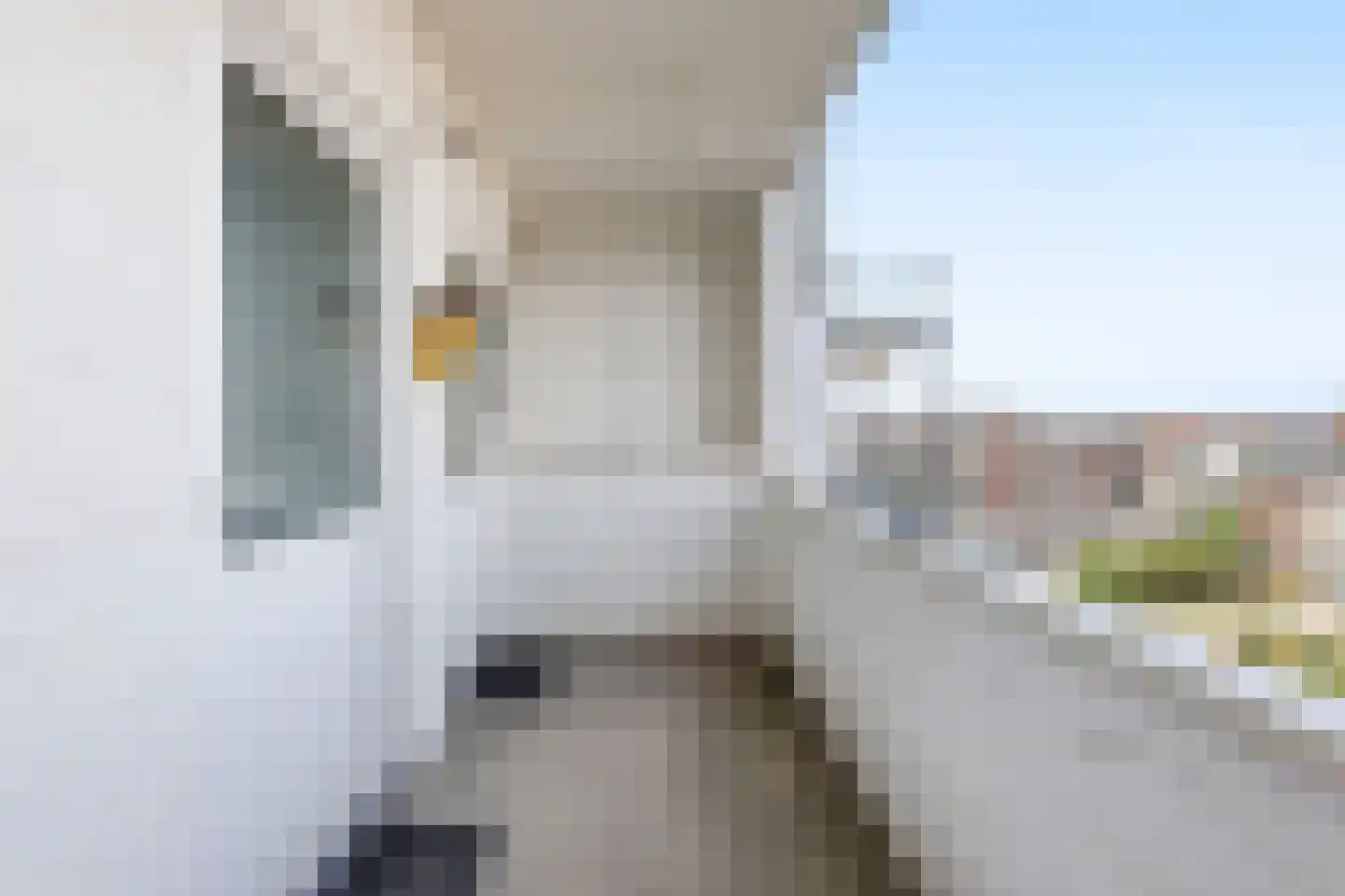 Boulevard De Ruyter 412 Vlissingen thumbnail 11