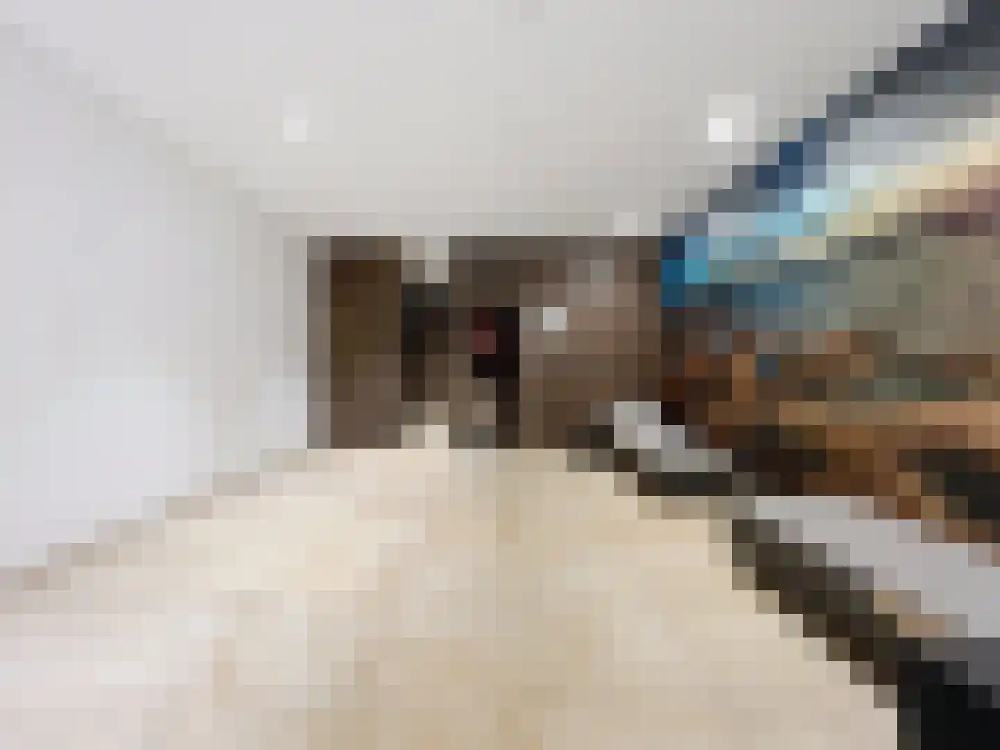 Boulevard de Wielingen 2 F 105 Cadzand thumbnail 44