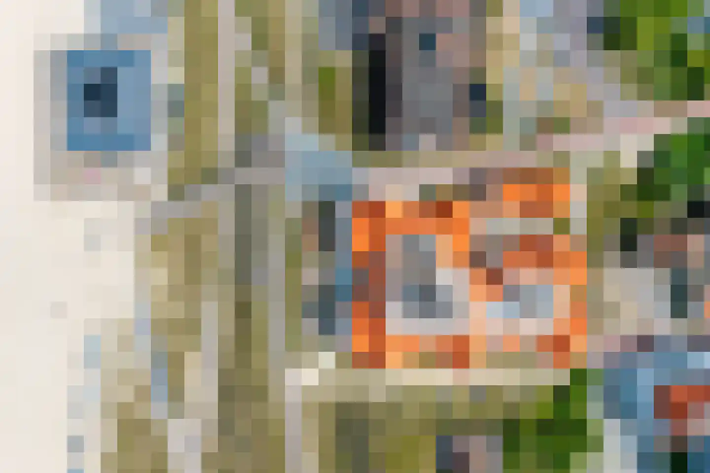 Boulevard de Wielingen 2 F 402 Cadzand thumbnail 39