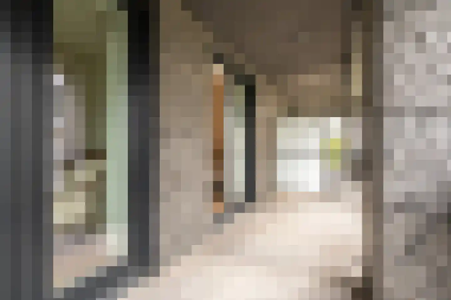 Boulevard de Wielingen 47 B 102 Cadzand thumbnail 33