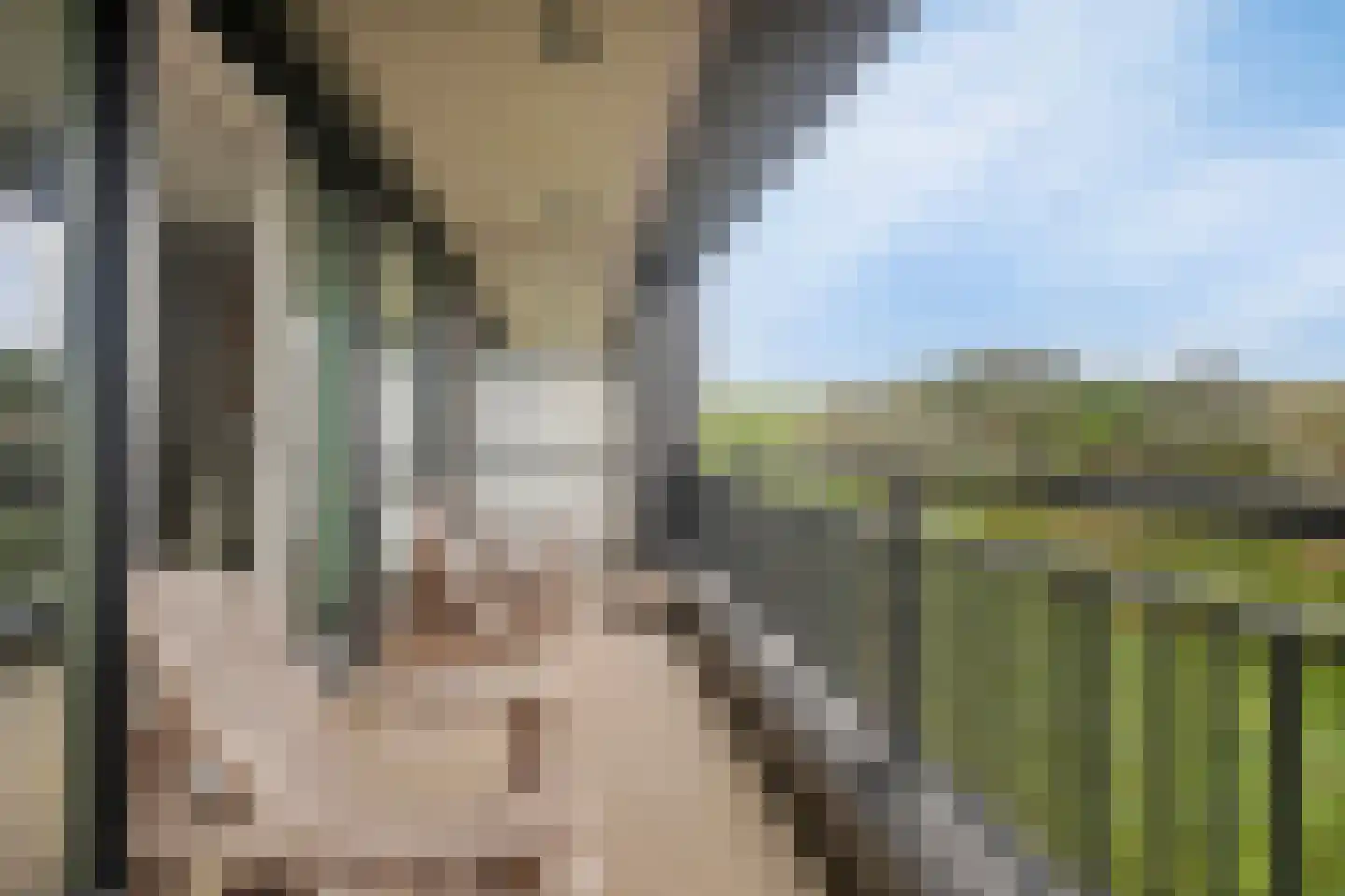 Boulevard de Wielingen 47 C 101 Cadzand thumbnail 15