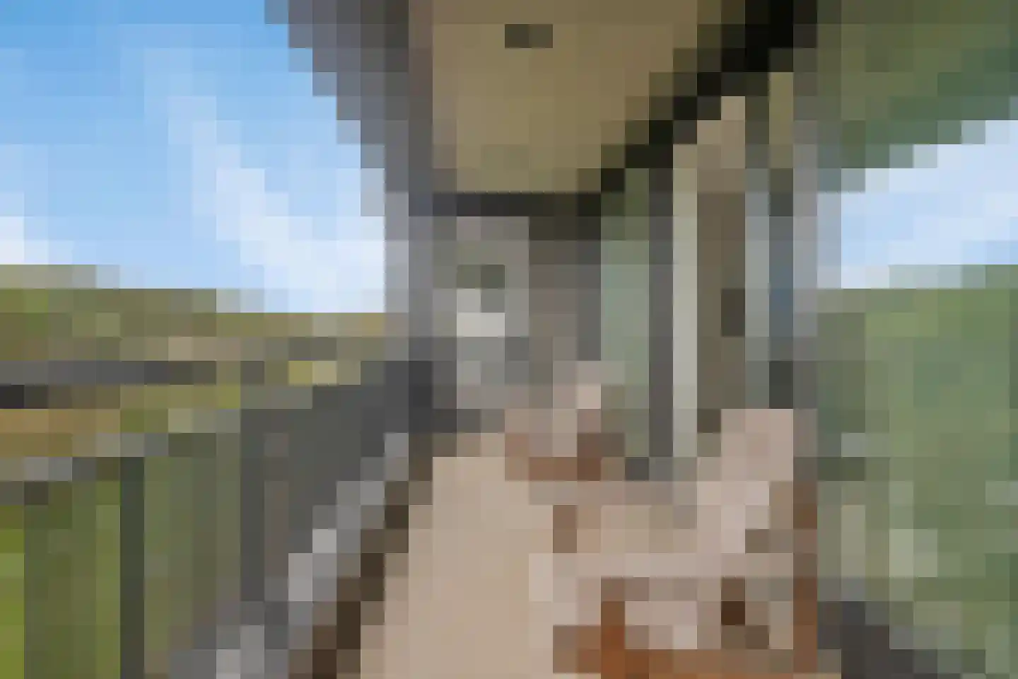 Boulevard de Wielingen 47 C 101 Cadzand thumbnail 16