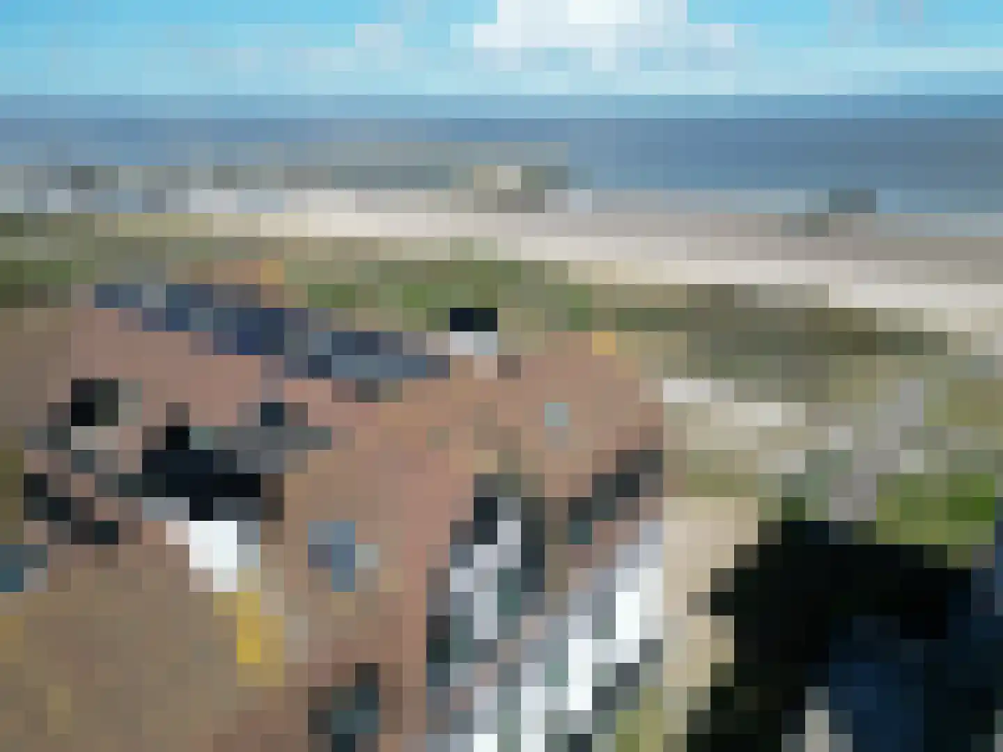 Boulevard de Wielingen 51 C 403 Cadzand thumbnail 30