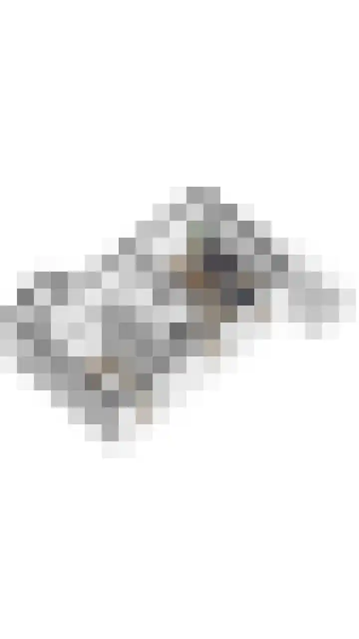 Boulevard de Wielingen 53 014 Cadzand thumbnail 18