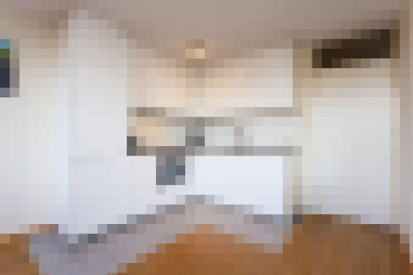 Boulevard de Wielingen 55 009 Cadzand thumbnail 10