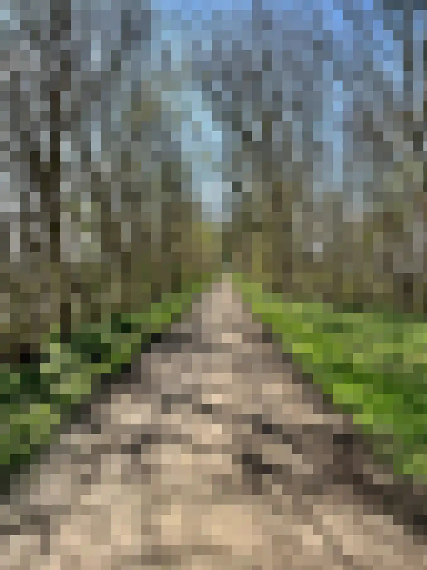 Boulevard de Wielingen 7 11 Cadzand thumbnail 18