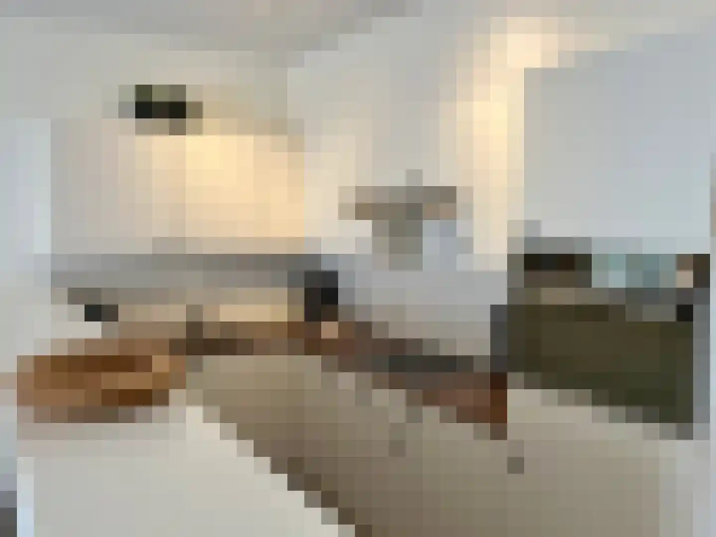 Boulevard de Wielingen 7 11 Cadzand thumbnail 8