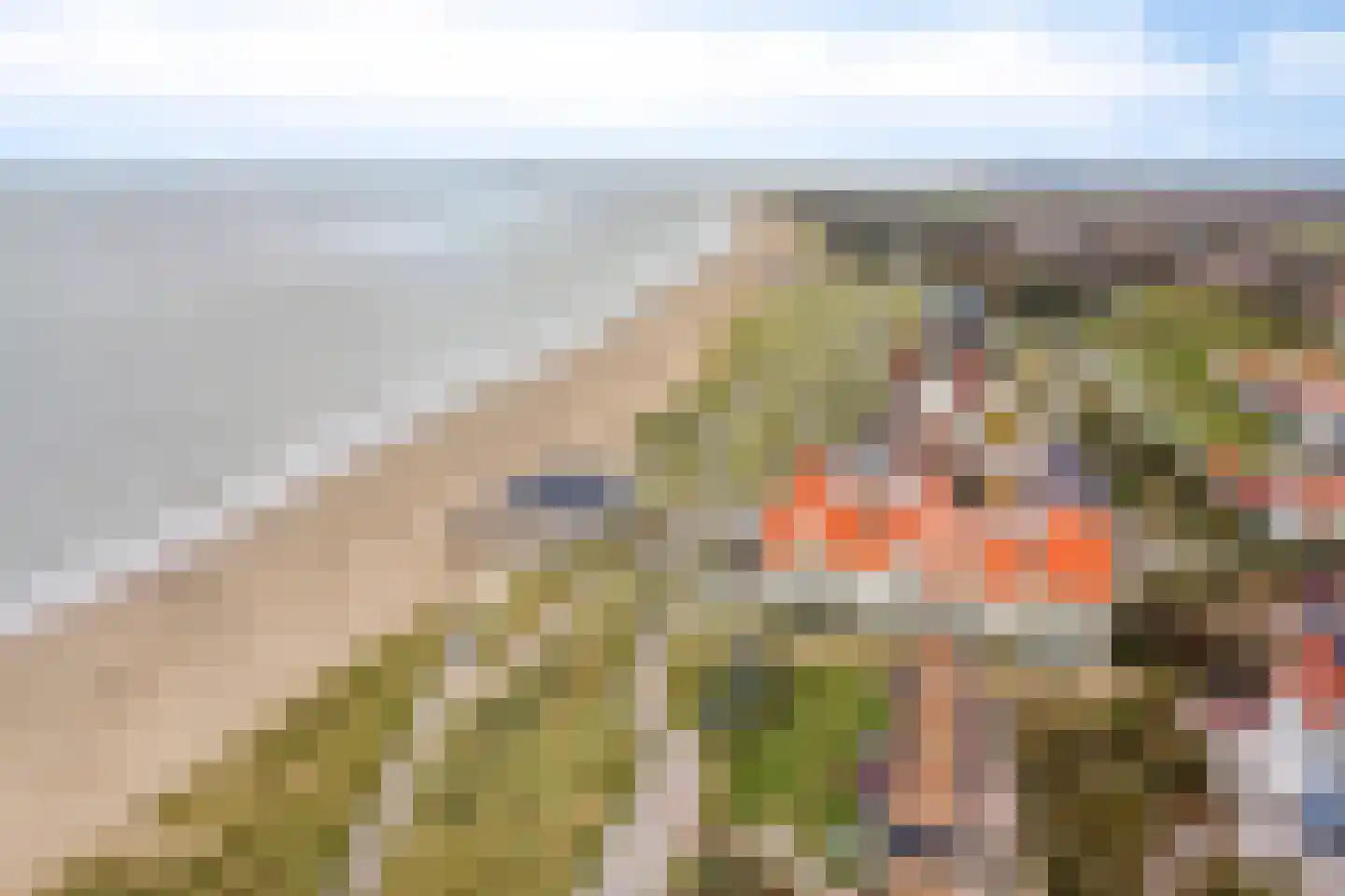 Boulevard de Wielingen 7 26 Cadzand thumbnail 30