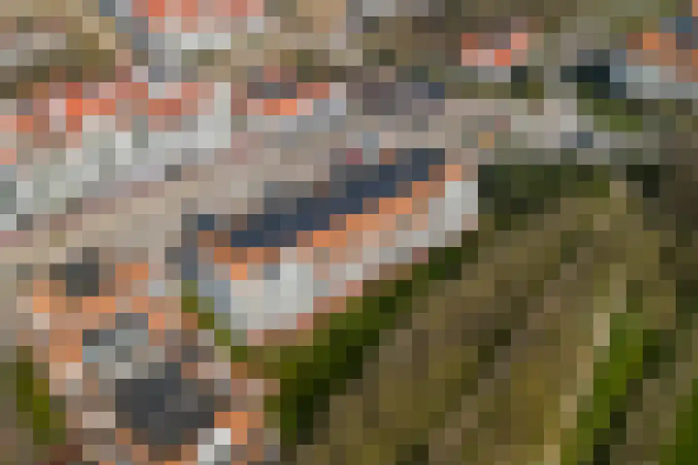 Boulevard de Wielingen 7 3 Cadzand thumbnail 47