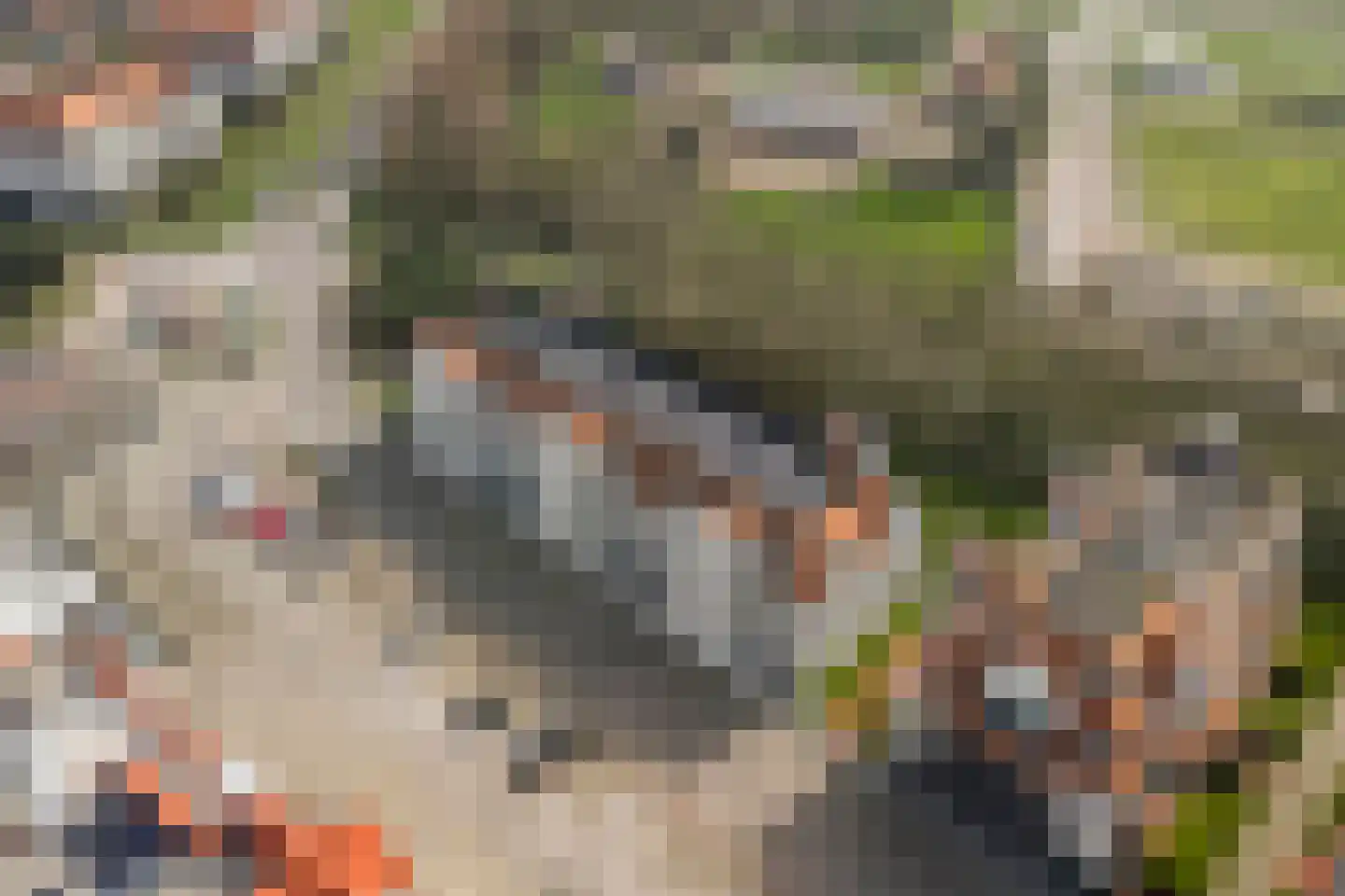 Boulevard de Wielingen 7 3 Cadzand thumbnail 5