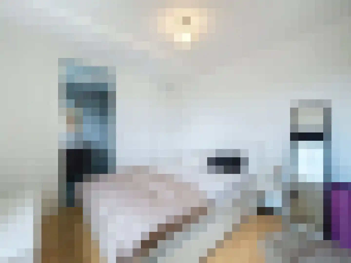 Boulevard de Wielingen 70 001 Cadzand thumbnail 11