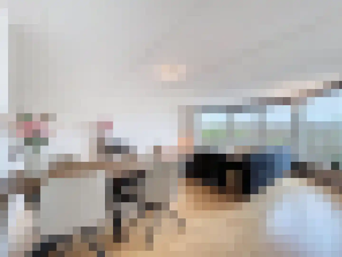 Boulevard de Wielingen 70 007 Cadzand thumbnail 5