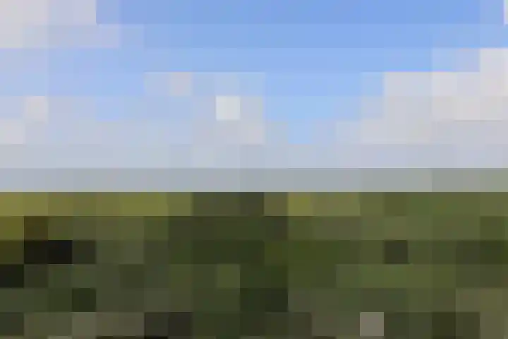 Boulevard de Wielingen 82 010 Cadzand thumbnail 22