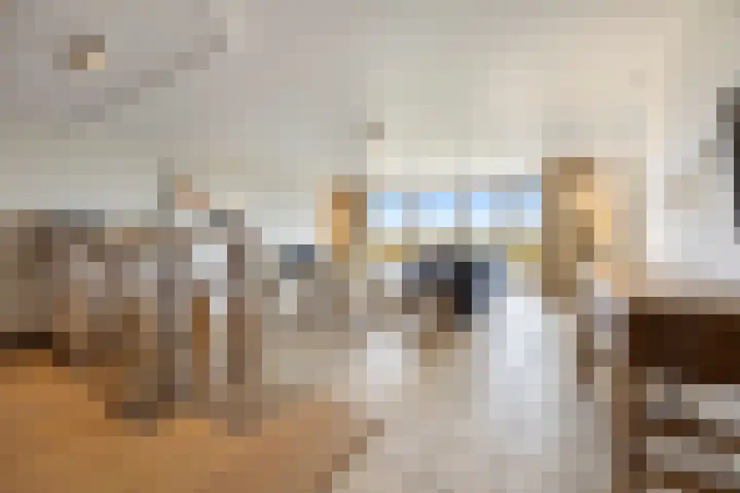 Boulevard de Wielingen 88 006 Cadzand thumbnail 11