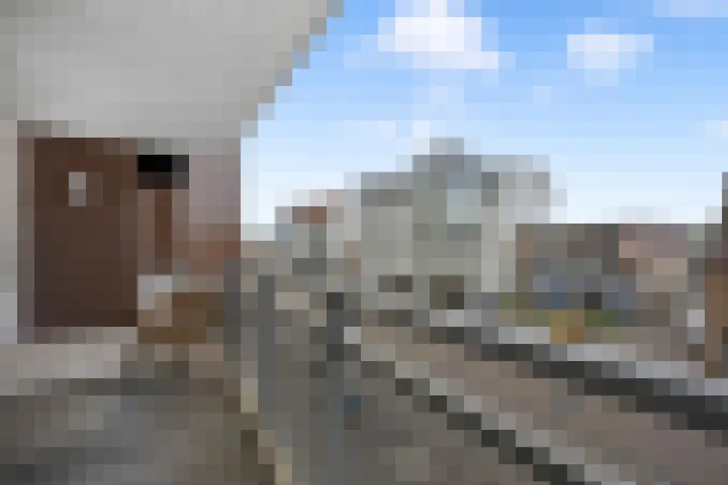 Boulevard de Wielingen 88 009 Cadzand thumbnail 5