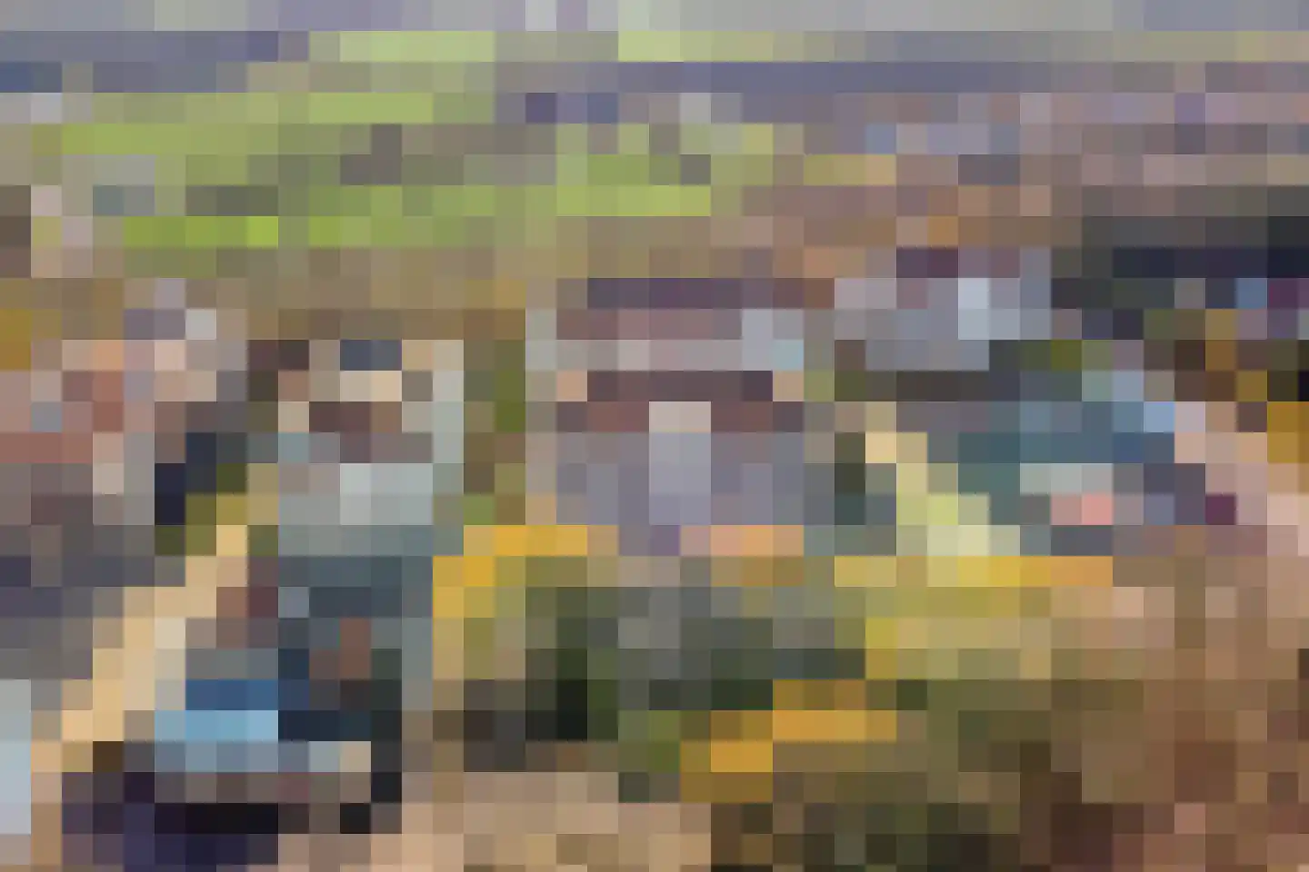 Boulevard de Wielingen 9 13 Cadzand thumbnail 7