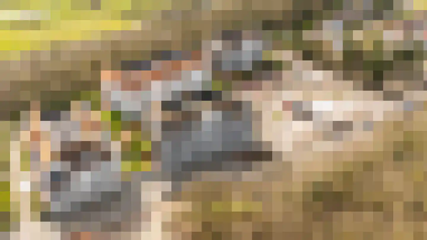 Boulevard de Wielingen 9 14 Cadzand thumbnail 24