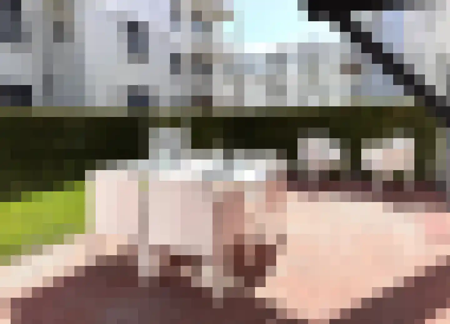 Boulevard de Wielingen 9 2 Cadzand thumbnail 31