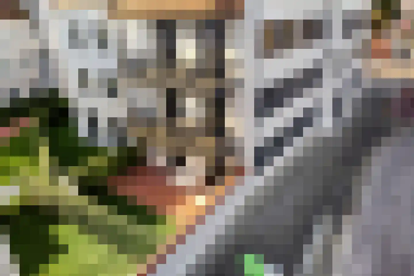 Boulevard de Wielingen 9 2 Cadzand thumbnail 32